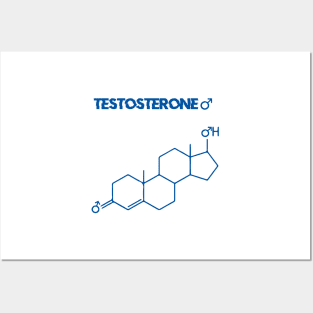 Testosterone male Hormone Chemical Structure Posters and Art